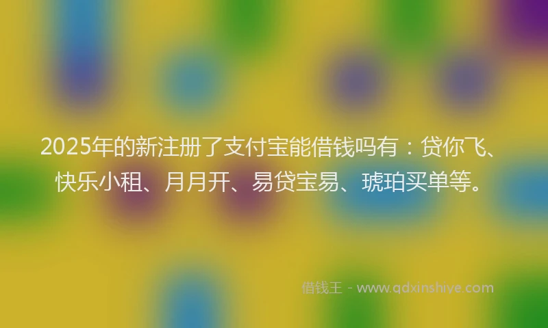 2025年的新注册了支付宝能借钱吗有：贷你飞、快乐小租、月月开、易贷宝易、琥珀买单等。