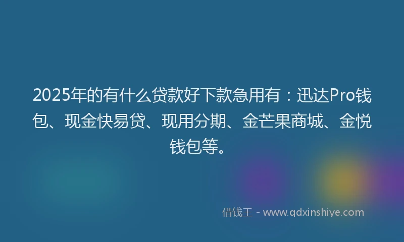 2025年的有什么贷款好下款急用有：迅达Pro钱包、现金快易贷、现用分期、金芒果商城、金悦钱包等。