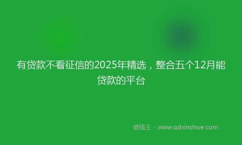 有贷款不看征信的2025年精选，整合五个12月能贷款的平台