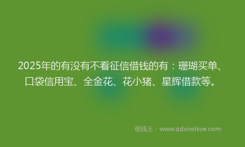 2025年的有没有不看征信借钱的有：珊瑚买单、口袋信用宝、全金花、花小猪、星辉借款等。