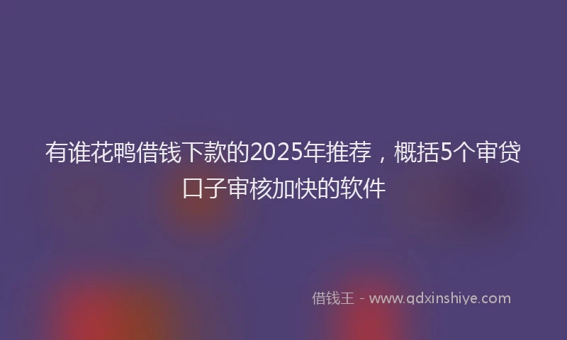 有谁花鸭借钱下款的2025年推荐，概括5个审贷口子审核加快的软件