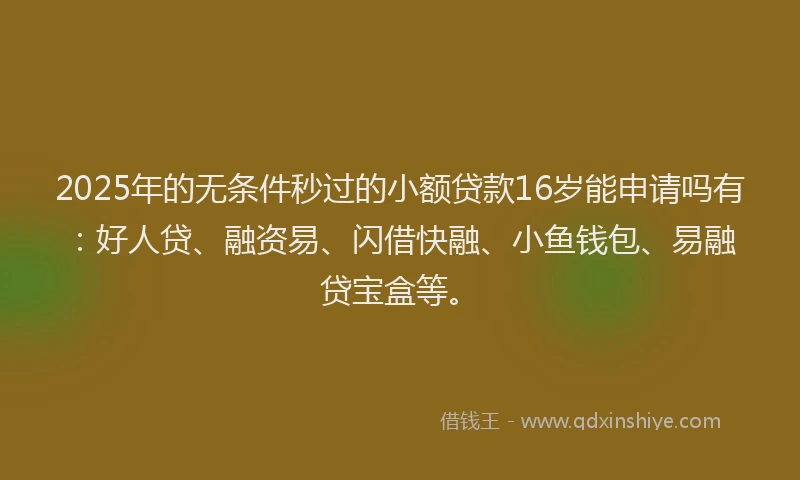 2025年的无条件秒过的小额贷款16岁能申请吗有：好人贷、融资易、闪借快融、小鱼钱包、易融贷宝盒等。