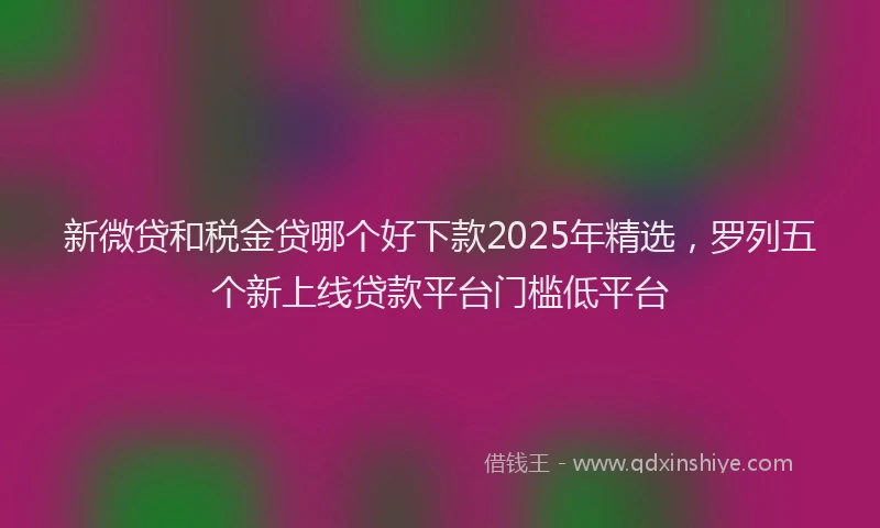 新微贷和税金贷哪个好下款2025年精选，罗列五个新上线贷款平台门槛低平台