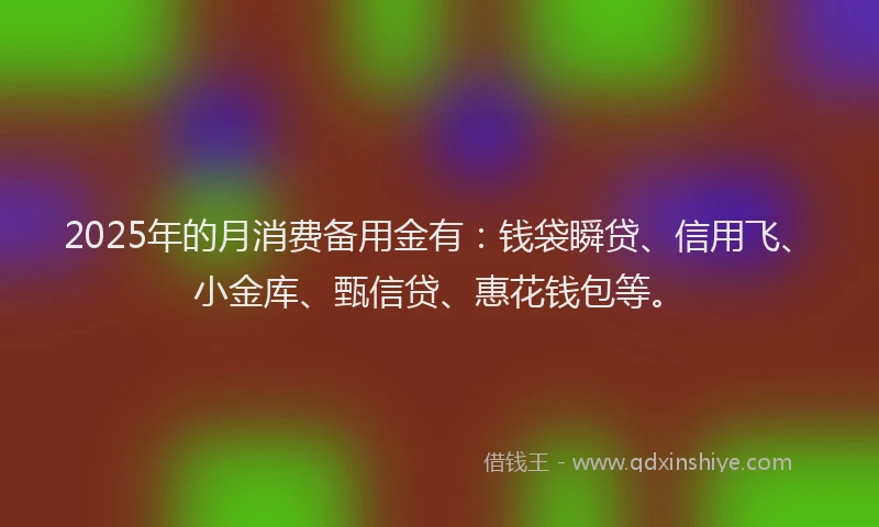 2025年的月消费备用金有：钱袋瞬贷、信用飞、小金库、甄信贷、惠花钱包等。