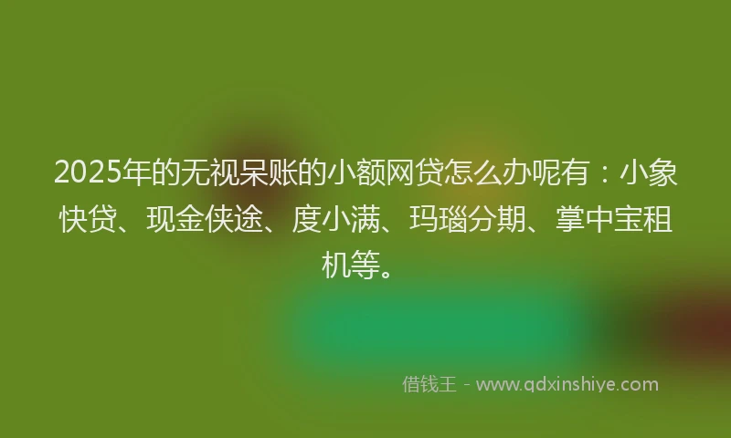 2025年的无视呆账的小额网贷怎么办呢有：小象快贷、现金侠途、度小满、玛瑙分期、掌中宝租机等。