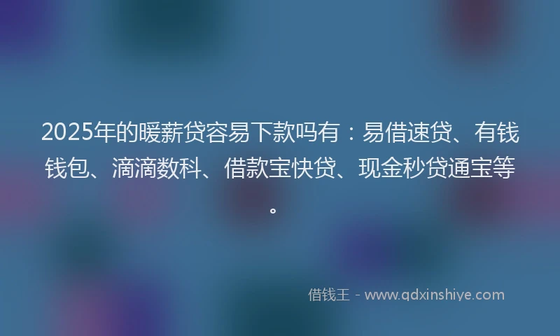 2025年的暖薪贷容易下款吗有：易借速贷、有钱钱包、滴滴数科、借款宝快贷、现金秒贷通宝等。