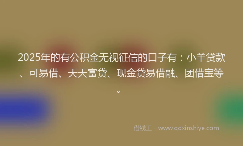 2025年的有公积金无视征信的口子有：小羊贷款、可易借、天天富贷、现金贷易借融、团借宝等。