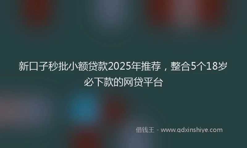 新口子秒批小额贷款2025年推荐，整合5个18岁必下款的网贷平台