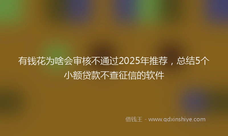 有钱花为啥会审核不通过2025年推荐，总结5个小额贷款不查征信的软件