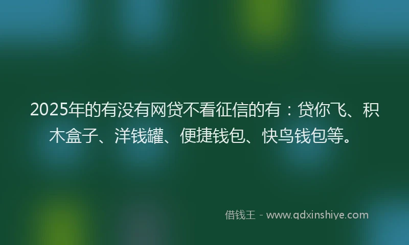 2025年的有没有网贷不看征信的有：贷你飞、积木盒子、洋钱罐、便捷钱包、快鸟钱包等。