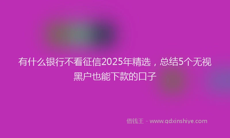 有什么银行不看征信2025年精选，总结5个无视黑户也能下款的口子