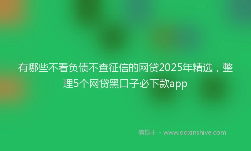 有哪些不看负债不查征信的网贷2025年精选，整理5个网贷黑口子必下款app