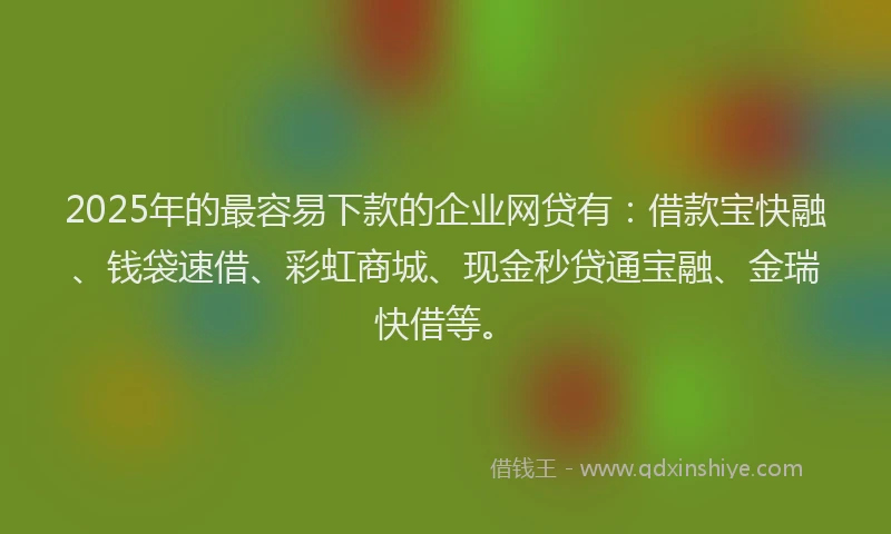 2025年的最容易下款的企业网贷有：借款宝快融、钱袋速借、彩虹商城、现金秒贷通宝融、金瑞快借等。