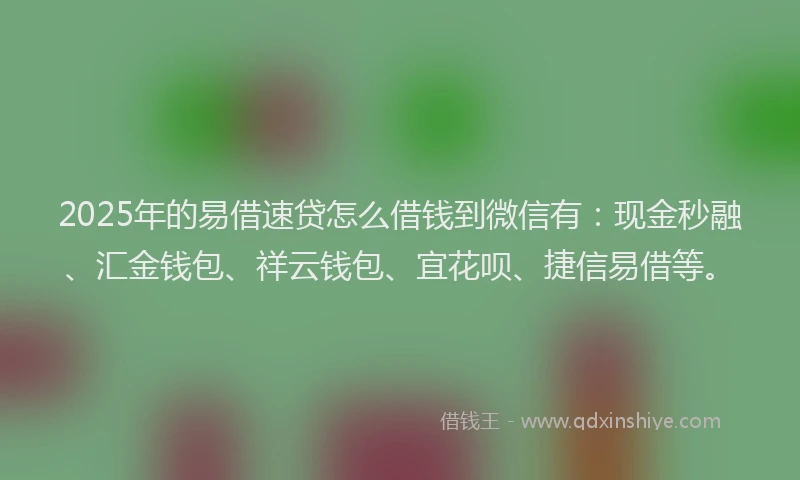 2025年的易借速贷怎么借钱到微信有：现金秒融、汇金钱包、祥云钱包、宜花呗、捷信易借等。