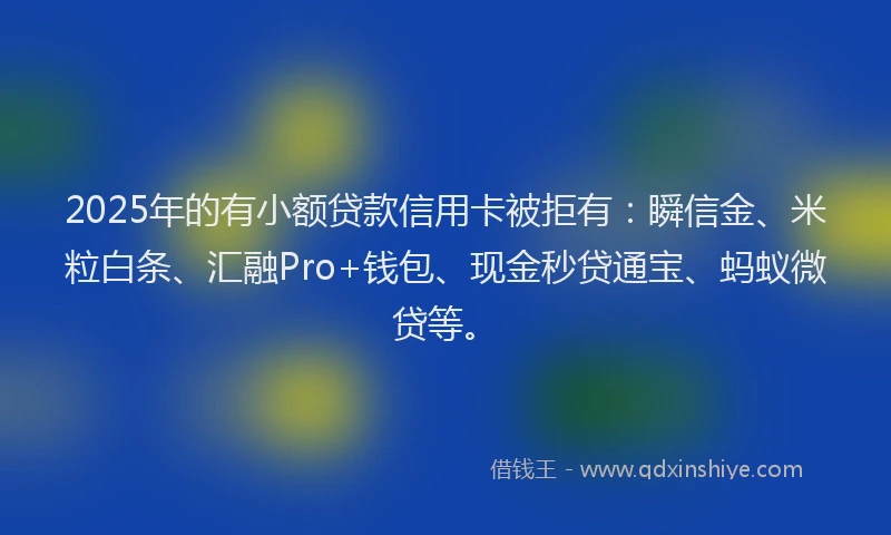 2025年的有小额贷款信用卡被拒有：瞬信金、米粒白条、汇融Pro+钱包、现金秒贷通宝、蚂蚁微贷等。