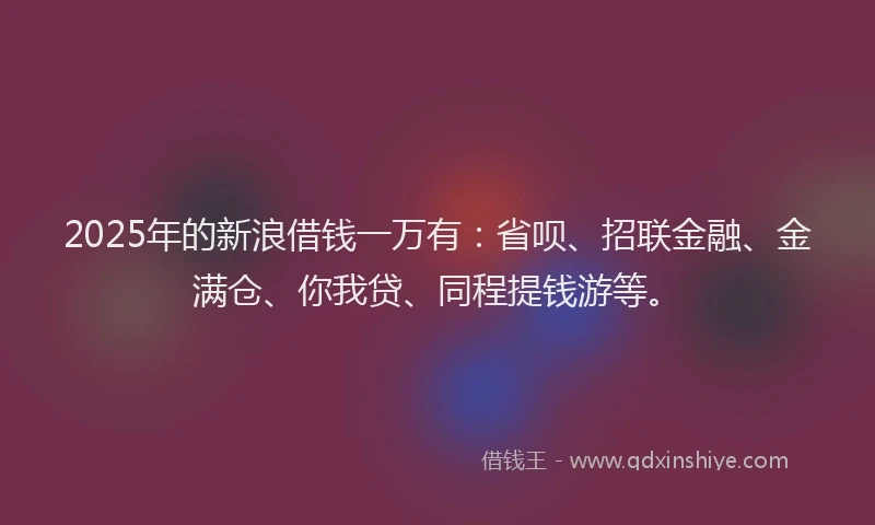 2025年的新浪借钱一万有：省呗、招联金融、金满仓、你我贷、同程提钱游等。