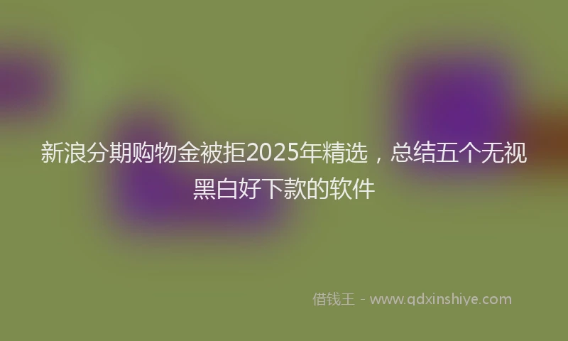 新浪分期购物金被拒2025年精选，总结五个无视黑白好下款的软件