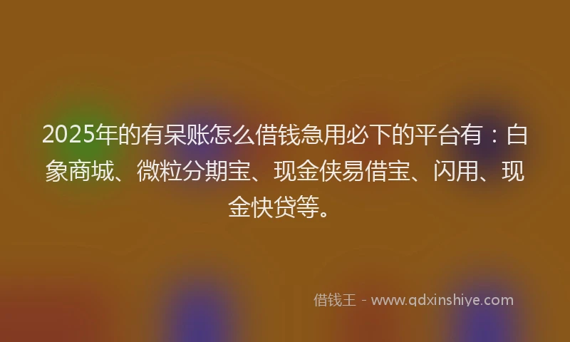 2025年的有呆账怎么借钱急用必下的平台有：白象商城、微粒分期宝、现金侠易借宝、闪用、现金快贷等。