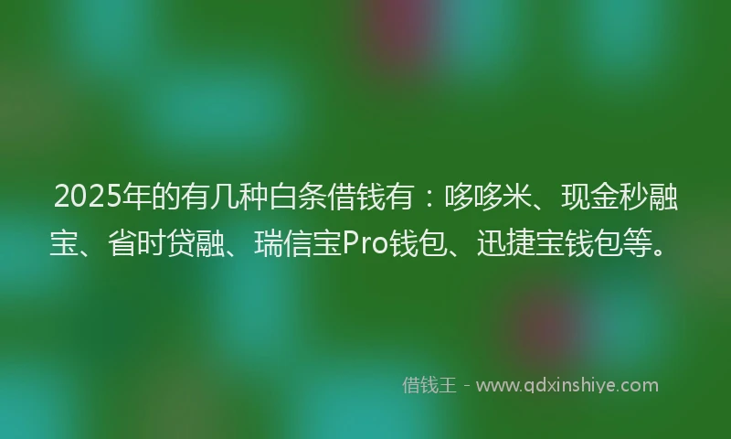 2025年的有几种白条借钱有：哆哆米、现金秒融宝、省时贷融、瑞信宝Pro钱包、迅捷宝钱包等。