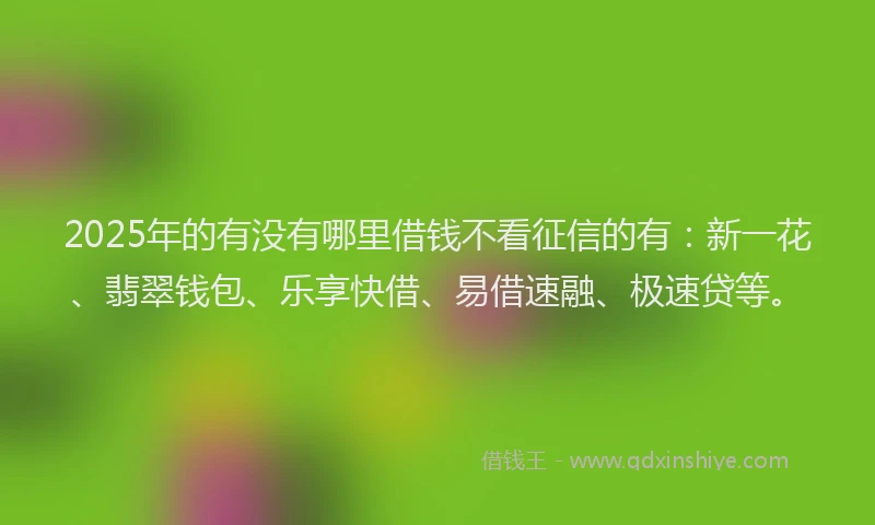 2025年的有没有哪里借钱不看征信的有：新一花、翡翠钱包、乐享快借、易借速融、极速贷等。