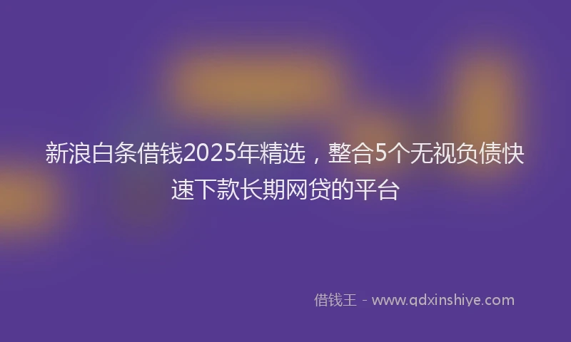 新浪白条借钱2025年精选，整合5个无视负债快速下款长期网贷的平台