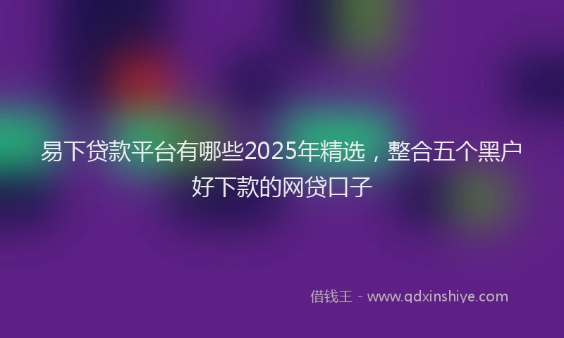 易下贷款平台有哪些2025年精选，整合五个黑户好下款的网贷口子
