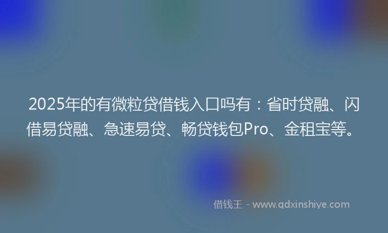 2025年的有微粒贷借钱入口吗有：省时贷融、闪借易贷融、急速易贷、畅贷钱包Pro、金租宝等。