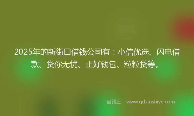 2025年的新街口借钱公司有：小信优选、闪电借款、贷你无忧、正好钱包、粒粒贷等。