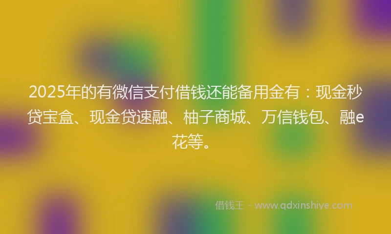 2025年的有微信支付借钱还能备用金有：现金秒贷宝盒、现金贷速融、柚子商城、万信钱包、融e花等。
