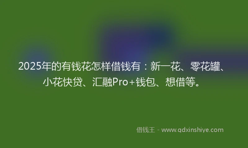 2025年的有钱花怎样借钱有：新一花、零花罐、小花快贷、汇融Pro+钱包、想借等。
