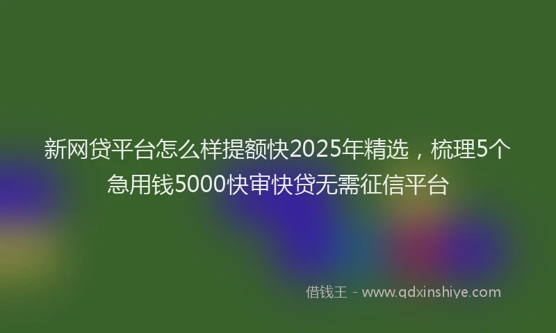 新网贷平台怎么样提额快2025年精选，梳理5个急用钱5000快审快贷无需征信平台