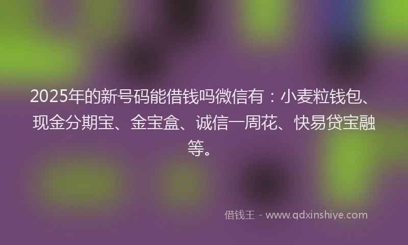 2025年的新号码能借钱吗微信有：小麦粒钱包、现金分期宝、金宝盒、诚信一周花、快易贷宝融等。