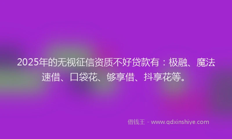 2025年的无视征信资质不好贷款有：极融、魔法速借、口袋花、够享借、抖享花等。