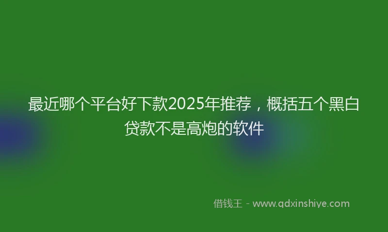 最近哪个平台好下款2025年推荐，概括五个黑白贷款不是高炮的软件