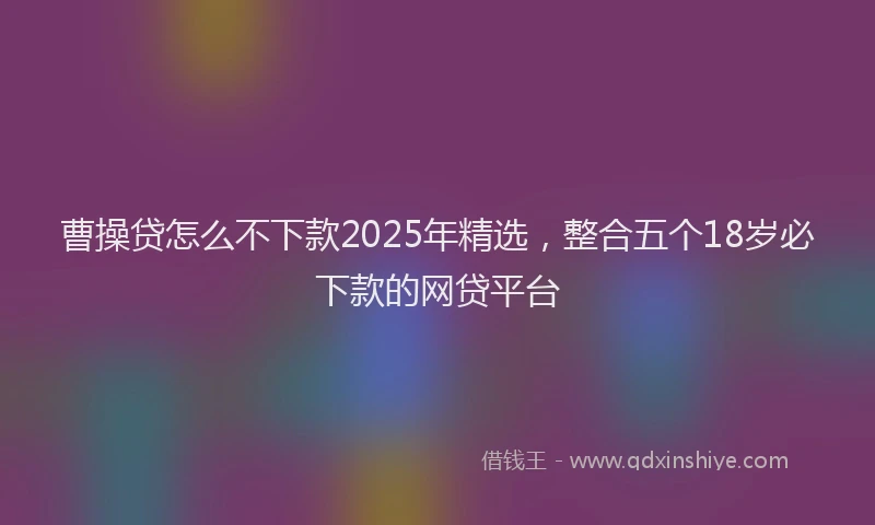 曹操贷怎么不下款2025年精选，整合五个18岁必下款的网贷平台