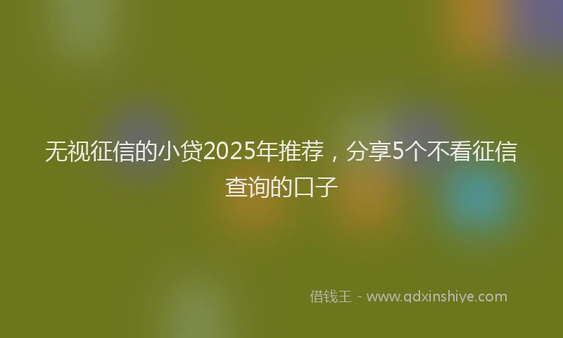 无视征信的小贷2025年推荐，分享5个不看征信查询的口子