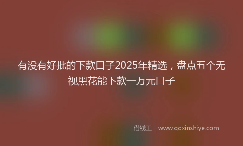 有没有好批的下款口子2025年精选，盘点五个无视黑花能下款一万元口子