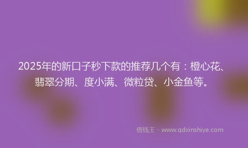 2025年的新口子秒下款的推荐几个有：橙心花、翡翠分期、度小满、微粒贷、小金鱼等。