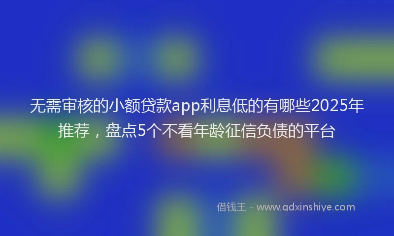 无需审核的小额贷款app利息低的有哪些2025年推荐，盘点5个不看年龄征信负债的平台