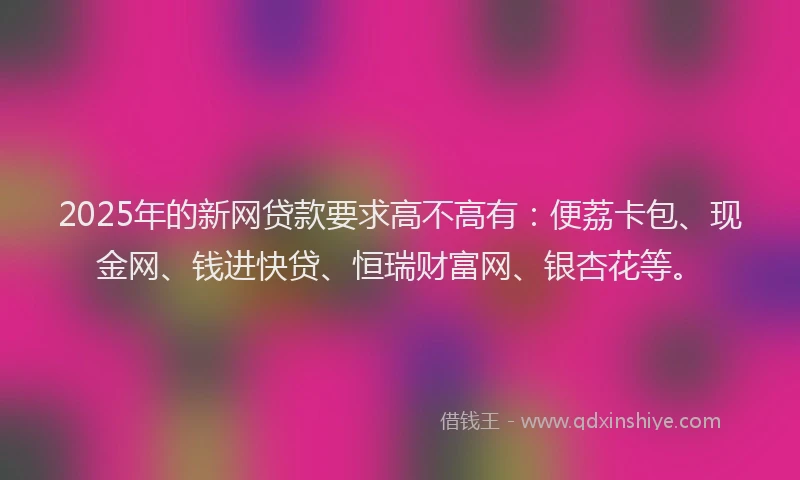 2025年的新网贷款要求高不高有：便荔卡包、现金网、钱进快贷、恒瑞财富网、银杏花等。