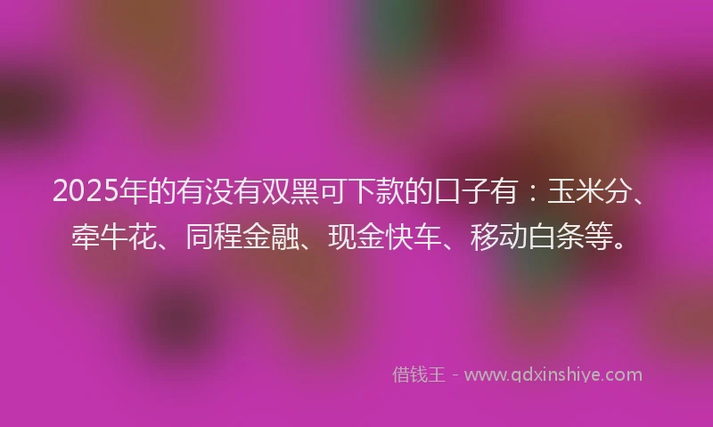 2025年的有没有双黑可下款的口子有：玉米分、牵牛花、同程金融、现金快车、移动白条等。