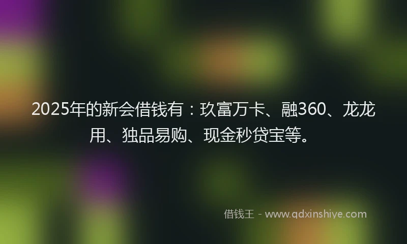 2025年的新会借钱有：玖富万卡、融360、龙龙用、独品易购、现金秒贷宝等。