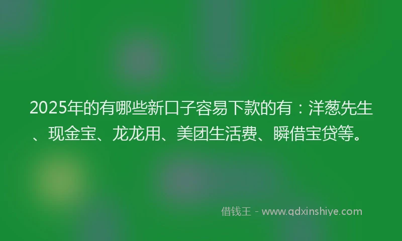 2025年的有哪些新口子容易下款的有：洋葱先生、现金宝、龙龙用、美团生活费、瞬借宝贷等。