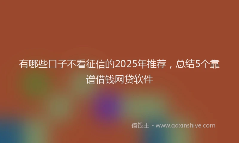 有哪些口子不看征信的2025年推荐，总结5个靠谱借钱网贷软件