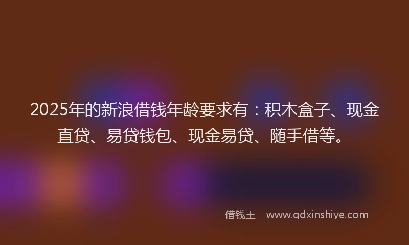 2025年的新浪借钱年龄要求有：积木盒子、现金直贷、易贷钱包、现金易贷、随手借等。