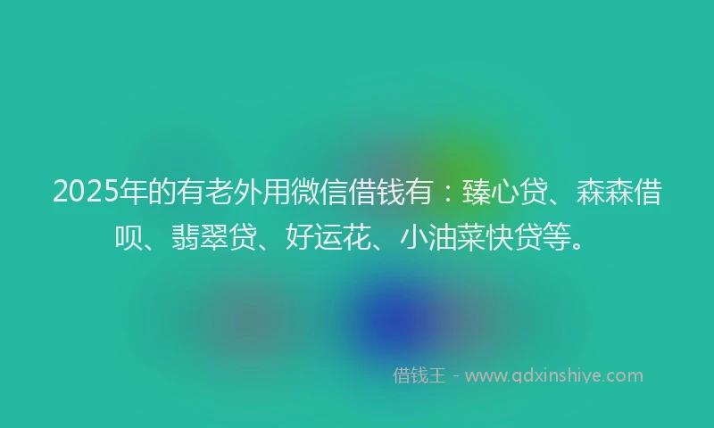 2025年的有老外用微信借钱有：臻心贷、森森借呗、翡翠贷、好运花、小油菜快贷等。