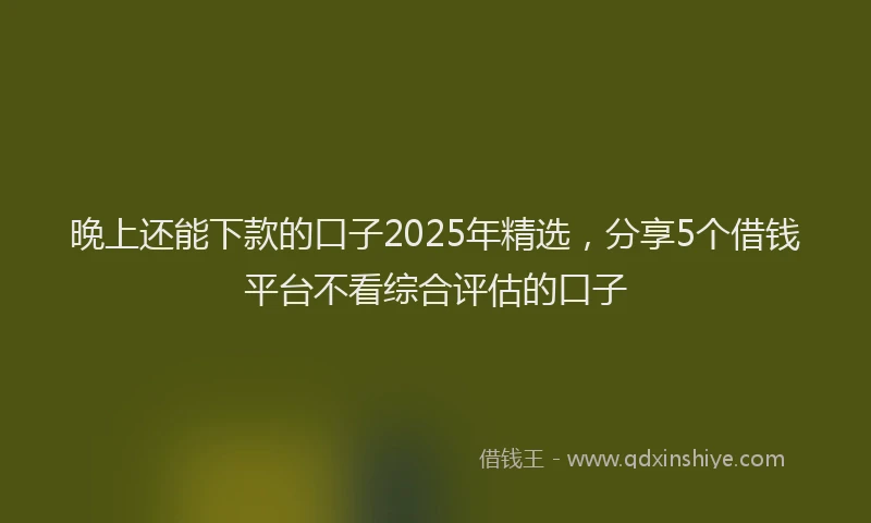 晚上还能下款的口子2025年精选，分享5个借钱平台不看综合评估的口子