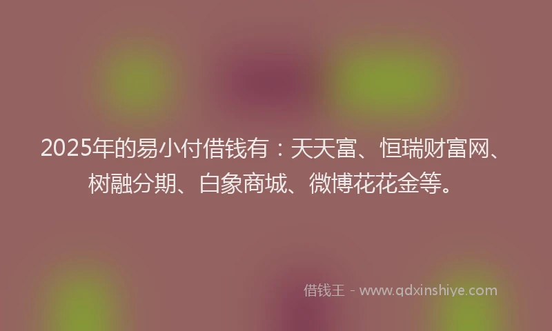 2025年的易小付借钱有：天天富、恒瑞财富网、树融分期、白象商城、微博花花金等。