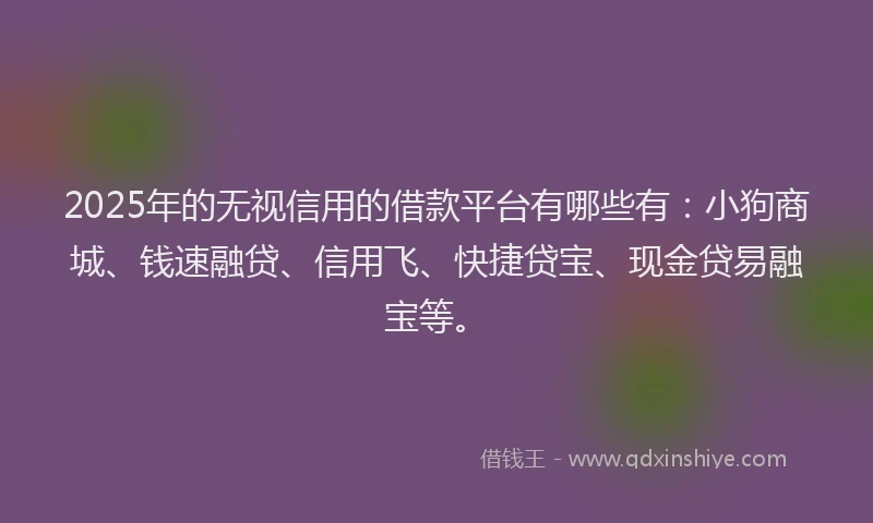 2025年的无视信用的借款平台有哪些有：小狗商城、钱速融贷、信用飞、快捷贷宝、现金贷易融宝等。