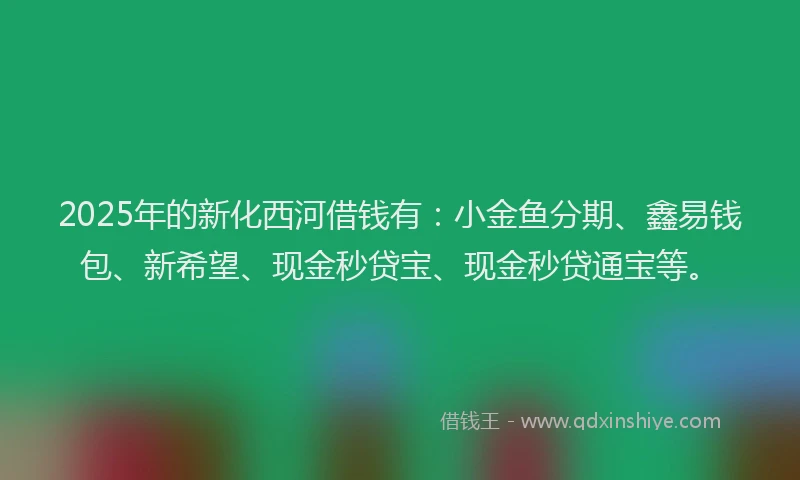 2025年的新化西河借钱有：小金鱼分期、鑫易钱包、新希望、现金秒贷宝、现金秒贷通宝等。